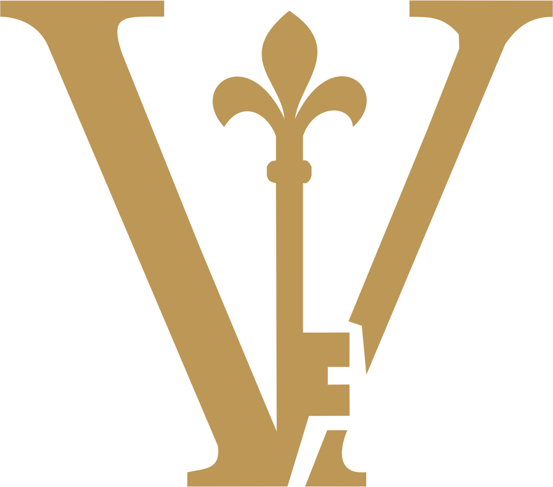 Vitessa Vault Logo